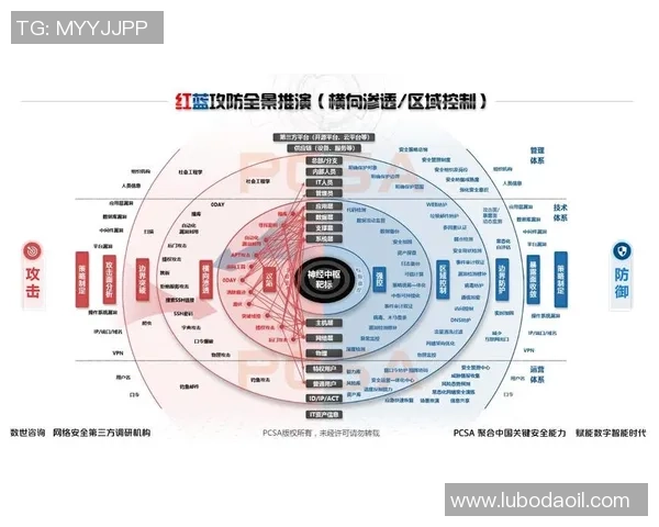 上海飞盘队意识对比深度解析与战术思考的全景展现 上海飞盘队意识对比深度解析与战术思考的全景展现
