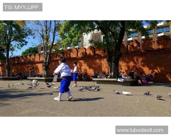 上海飞盘队个人能力分析与团队协作的深度探讨 上海飞盘队个人能力分析与团队协作的深度探讨